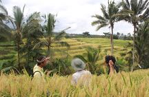Munduk Highlights Tour - Private and Customizable 