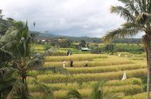 Munduk Highlights Tour - Private and Customizable 