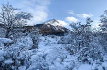 Tierra del Fuego National Park – Small Groups. Optional Train