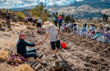 2 Days Colca Living Experience Nature Culture and Tradition