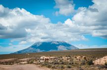Experience Puruña Stone Forest and Pillones Waterfalls