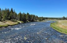 Yellowstone Bus Tour