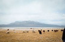 Full Day Tour to Salinas and Aguada Blanca National Reserve