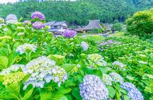 Amanohashidate Ine Funaya and Miyama Thatched Village Tour