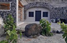 Santorini: Private Agri-Educational Visit to an Organic Farm 