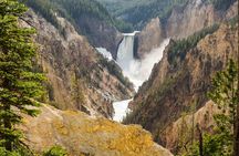 Yellowstone Private Tour Up To 14 - A Surprise Activity Included