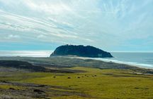 3-Day Private Pacific Tour to Big Sur, Hearst Castle, and More