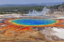 Yellowstone Private Tour Up To 14 - A Surprise Activity Included