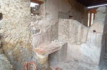 From Naples, a small-group guided tour of Pompeii