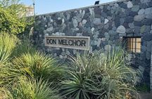  Santiago Private Don Melchor De Luxe Wine Tour