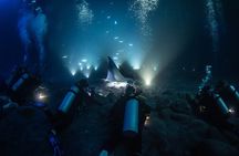 One Tank Manta Night Dive and Snorkel