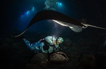 One Tank Manta Night Dive and Snorkel