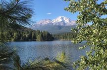 Galactic Origins Mount Shasta Tour