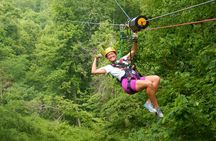 Wild Zipline Tour in Moundsville, West Virginia