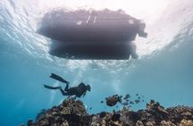 Two Tank Morning Reef Dive and Snorkel