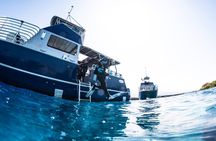 Two Tank Morning Reef Dive and Snorkel