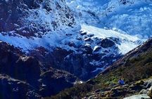 Rob Roy Glacier Guided Walk