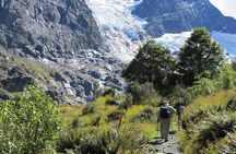 Rob Roy Glacier Guided Walk