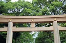 Experience Tokyo with Walking and Metro Subway Tour