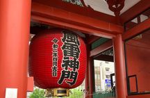 Experience Tokyo with Walking and Metro Subway Tour