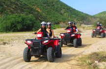Cabo Tour Mexico Camel and Horseback Ride with ATV Adventure