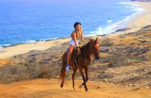 Beach ATV and Horseback Ride Combo Tour in Cabo 