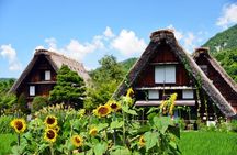 Kanazawa: 2 Hour Bike Tour from Shirakawa-go to Hirase