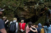 Cave, Bats and Boas Night Tour - Puerto Rico