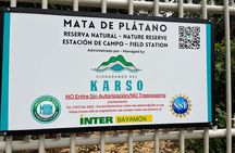 Cave, Bats and Boas Night Tour - Puerto Rico