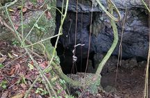 Cave, Bats and Boas Night Tour - Puerto Rico