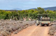 Big 5 Safari Aquila Game Tour wine tasting and Lunch 