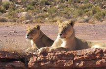 Exclusive Big5 Safari Aquila Game Reserve 