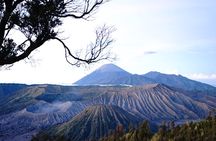 Mt Bromo Sunrise Private Guided Tour - from Surabaya or Malang