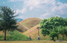 Gyeongju One-Day Tour from Daegu: 7 Highlights including Bulguksa