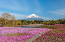 Mount Fuji Highlights Full Day Bus Tour from Tokyo