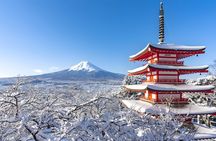 Tokyo: Mt. Fuji Day Tour