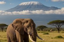 2 Days 1 Night Amboseli National Park Private Safari.