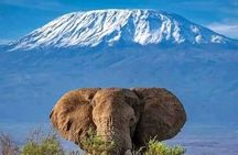 2 Days 1 Night Amboseli National Park Private Safari.