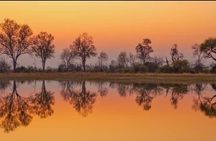 2 Day, 1 Night Khwai Camping Safari