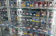 Akihabara Pop Culture Tour with Maid Café and UFO Catcher Fun