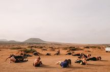 Come surf with me! Surf In Fuerteventura by Sealover
