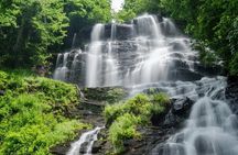Full Day Tour from Atlanta to Amicalola Falls and Blue Ridge