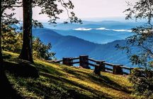 Full Day Tour from Atlanta to Amicalola Falls and Blue Ridge