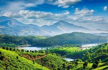 5 Day Kerala Tour from Kochi with Houseboat Stay