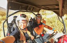 Agadir/Taghazout: Buggy, Goats in Argan Trees & Moroccan Tea