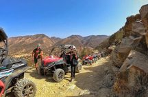 Agadir/Taghazout: Buggy, Goats in Argan Trees & Moroccan Tea