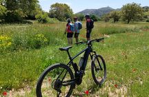 E-Mountain Bike Tour to the Roof of Lefkada Island 