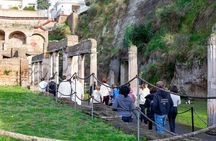  Walking Tour of Herculaneum with Local Guide