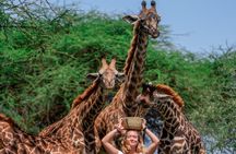 Serval Wildlife Safari, Materuni Waterfall Hike and Coffee Tour