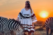 Serval Wildlife Safari, Materuni Waterfall Hike and Coffee Tour